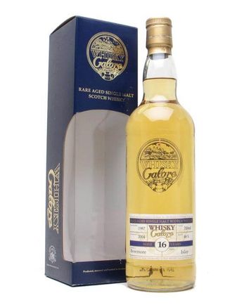 Bowmore 1987 16 Year Old Duncan Taylor